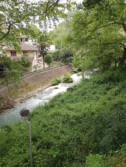 280051790_411961353764876_5907664687418316567_n